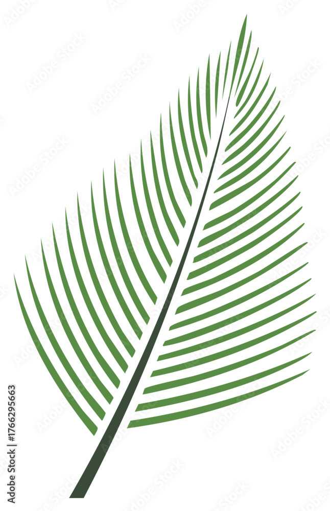 Fototapeta premium Green Palm Leaf Vector Design Simple Tropical Plant Illustration Isolated