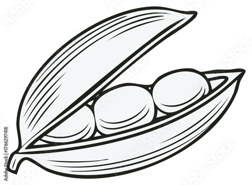 Stylized illustration of an open pea pod with three peas inside on a white background