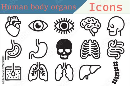 Monoline medical anatomy icons for web, mobile, and EHR interface design