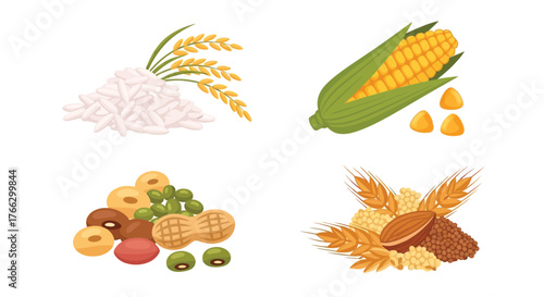 Assorted grains and crops illustration featuring rice corn wheat and peanuts