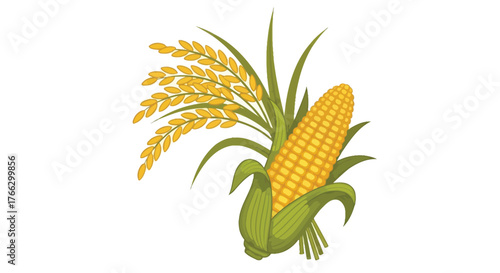 Illustration of fresh corn on the cob and ripe wheat stalks