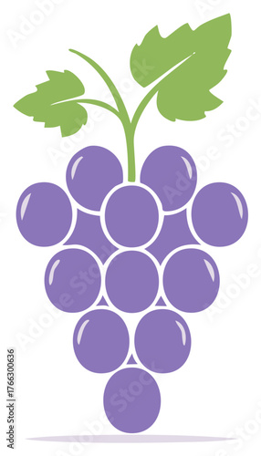Simple vector illustration of a bunch of purple grapes with green leaves and stem