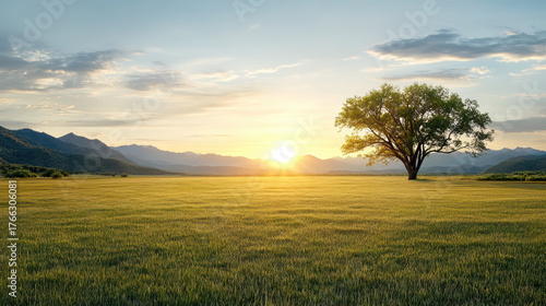 Fototapeta Naklejka Na Ścianę i Meble -  Serene landscape featuring vast open field with single tree, mountains background, and beautiful