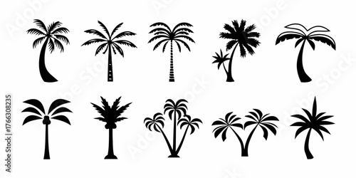 Collection of diverse black silhouette palm tree icons representing various styles and shapes