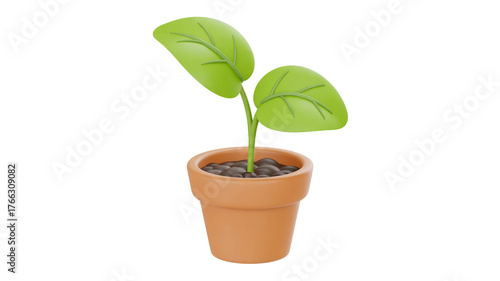 Green sprout growing in terracotta pot plant seedling