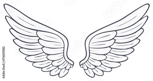 Open stylized wings illustration isolated, angel or bird, feather shapes, outline
