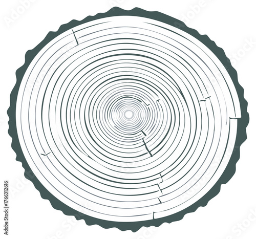Stylized Tree Ring Cross-Section Graphic Illustration