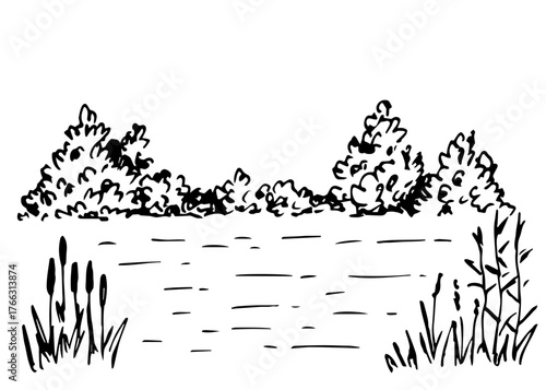 Summer landscape, wild lake, reeds, bushes, calm water. Hunting and fishing, nature. Hand drawn vector illustration with black outline.