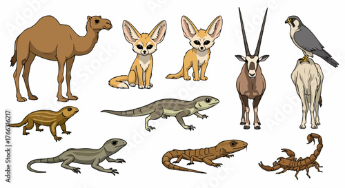 Desert animals collection with transparent background