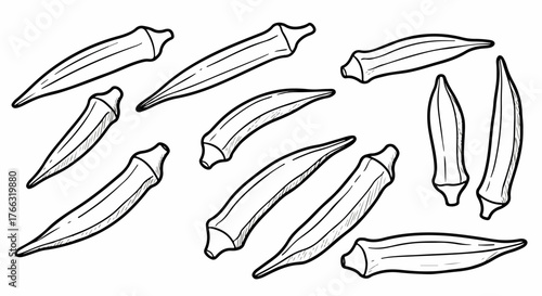 Okra pods outline sketch for culinary or food design