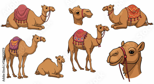 Camel poses collection for design elements