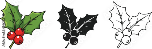 Set of Christmas holly berries in color, silhouette, and outline style