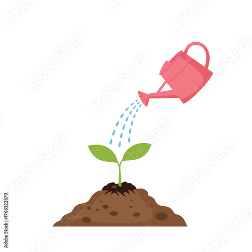 Young plant being watered from a pink watering can.