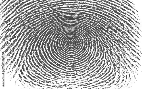  grunge fingerprint on white background