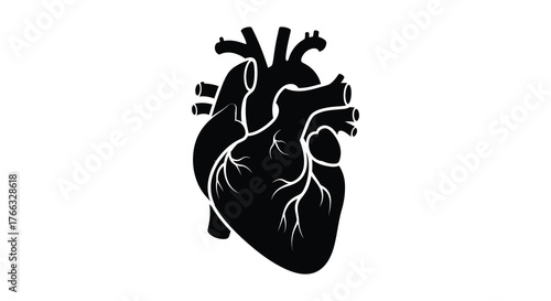 Stylized black silhouette of a human heart with visible arteries and veins on a white background