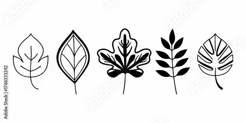 Vector five different styled leaves in black and white with varying shapes and arrangements are displayed here