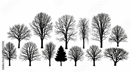 A collection of black silhouettes showing various types of bare, leafless winter trees on a white background.