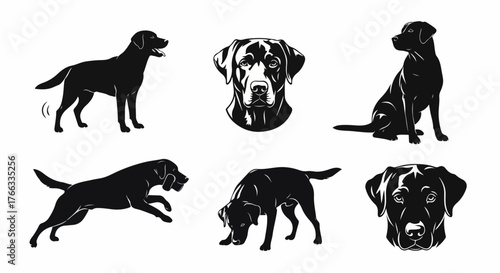 A collection of black Labrador Retriever dog illustrations showing various poses and headshots on a white background.