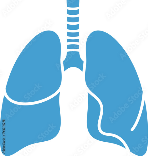 Clean silhouette illustration of healthy human lungs symbolizing respiratory health and medical care presented as a simple icon