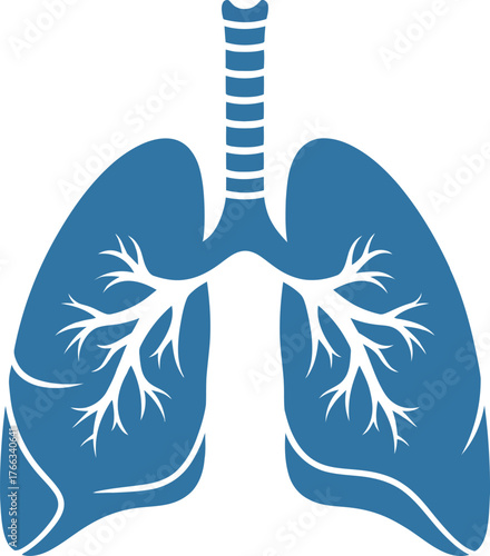 Stylized silhouette of human lungs representing health anatomy and respiratory system perfect for medical or wellness concepts