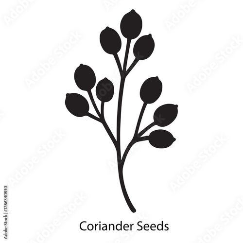 Coriander Seeds Silhouette Vector Icon – Culinary Spice & Herbal Medicine Illustration