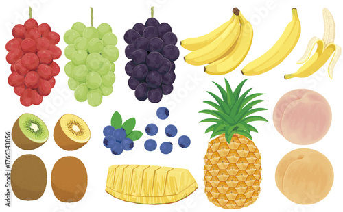 果物イラスト（ぶどう、もも、パイナップルなど）