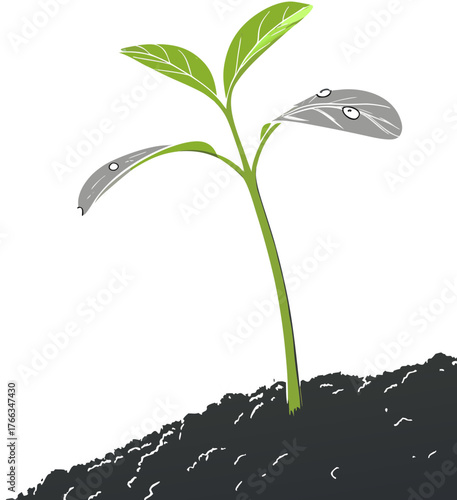 A small green plant sprout emerges from the soil with both healthy and wilting leaves.