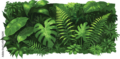 Tropical rainforest foliage, dense green plants, lush jungle leaves, exotic nature background, botanical texture, natural environment, vibrant greenery, ecological design, biodiversity pattern