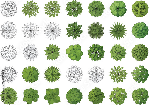 Collection of top down view green trees and black and white tree silhouettes for architectural design and landscaping projects