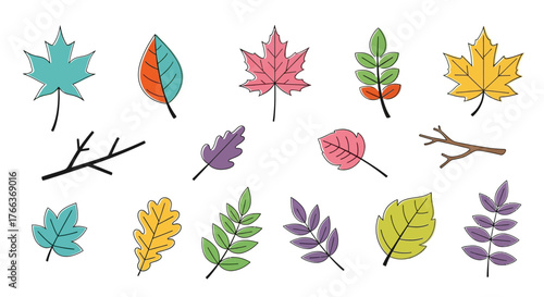 Colorful Autumn Leaves Collection with Various Shapes and Sizes.