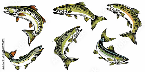 Collection of six hand drawn trout fish illustrations on a white background