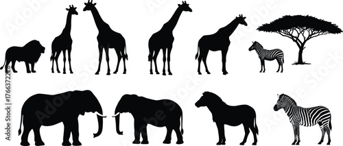 African animal silhouettes, elephants, giraffes, zebras, lion, horse, acacia tree, savanna wildlife, safari nature, wilderness silhouettes, exotic animals