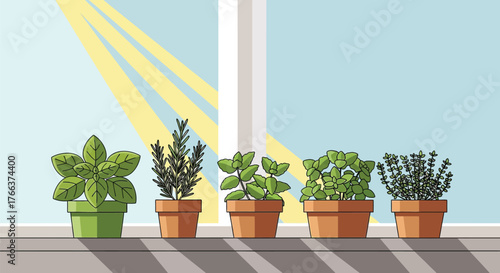 Herbs in pots on a windowsill with sunlight isolated on white background