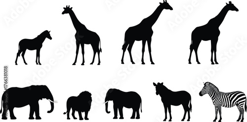 Animal silhouettes, zebra in color, elephants, giraffes, donkey, lion, African savanna wildlife, safari animals, nature silhouettes, exotic wilderness, jungle