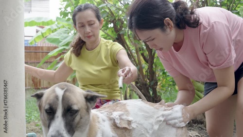Mother and daughter bathing their dog in the garden at home.