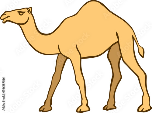 Camel in Pushkar Camel Fair