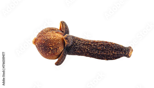 a clove isolated on transparent background