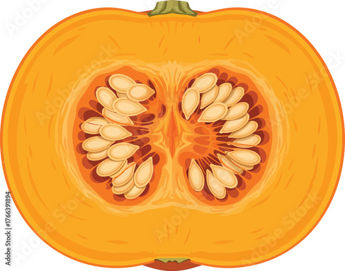 A detailed illustration of a ripe pumpkin cut in half, revealing its seeds and fibrous interior.