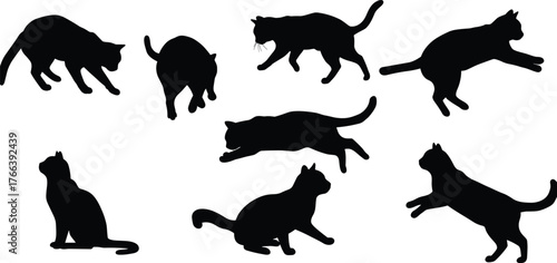 Black cat silhouette collection, playful and sitting feline poses, vector illustration of domestic cats, isolated pet design for decoration, artwork
