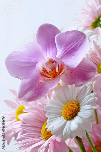 Delicate orchid and daisy flowers in soft pastel colors with a bright white background