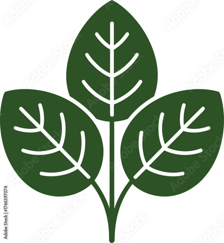 Dark Green Leafy Plant Growing Upwards on Transparent Backdrop Vector Graphic