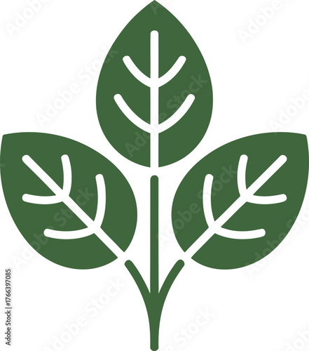 Light Green Leafy Plant Growing Upwards on Transparent Backdrop Vector Graphic