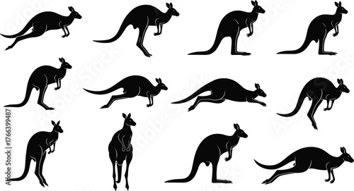 Kangaroo silhouette vector, jumping and standing poses, Australian wildlife illustration, black animal shapes, dynamic kangaroo movement, nature design element