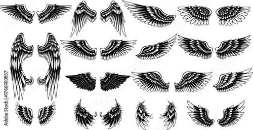Wing vector set, black and white feather designs, fantasy wing illustration, tattoo style elements, symmetrical wing art, character design reference