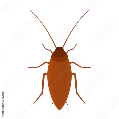 cockroach flat vector design logo icon
