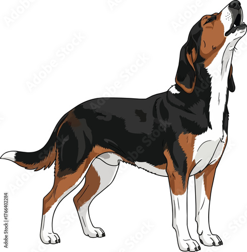 Estonian Hound dog howling pose cute vector illustration