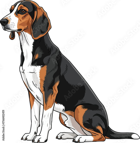 Estonian Hound dog sitting side profile vector illustration