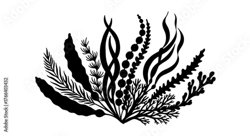 Elegant black silhouette of various underwater plants and seaweed against a white background.
