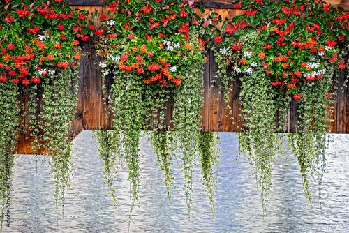 Photos Lush floral decoration on the covered historic wooden bridge Kapellbrücke over