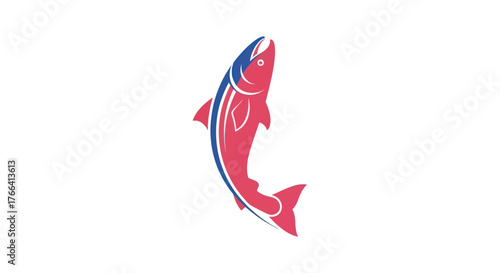 Vibrant Red and Blue Salmon Fish Jumping Upwards.